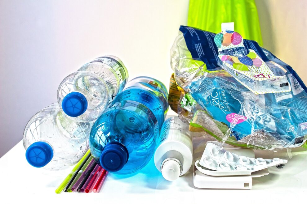 Bisphenols are found in many everyday objects.